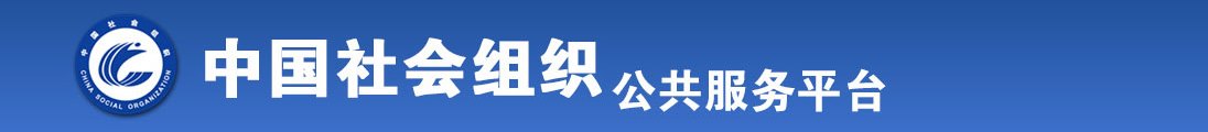 歪妹网赚全国社会组织信息查询